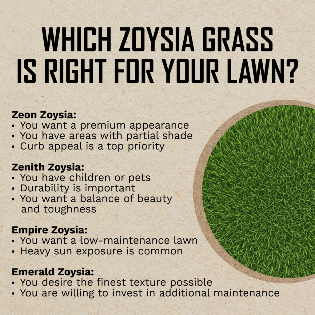 which Zoysia grass variety is best for your lawn graphic